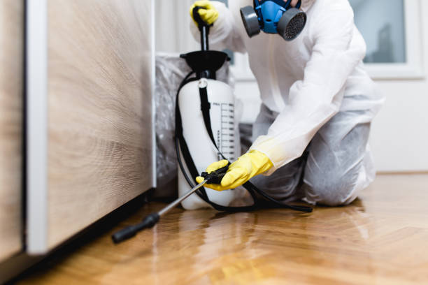 Best Emergency Pest Control  in Abilene, TX