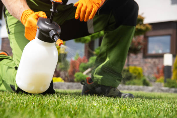 Bird Control in Abilene, TX