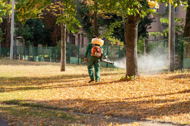 Best Best Pest Control Companies  in Abilene, TX