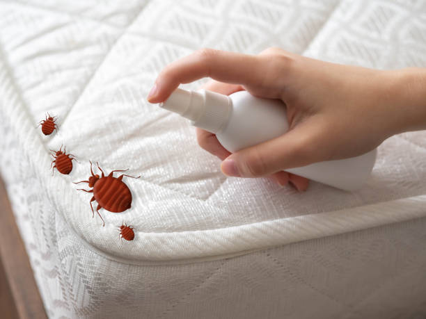 Best Bed Bug Extermination  in Abilene, TX