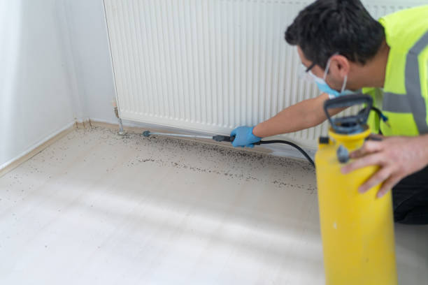 Best Pest Removal Services  in Abilene, TX