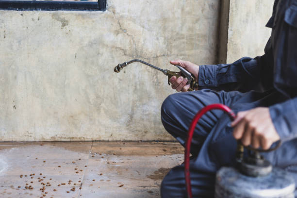 Best Pest Control Treatment  in Abilene, TX