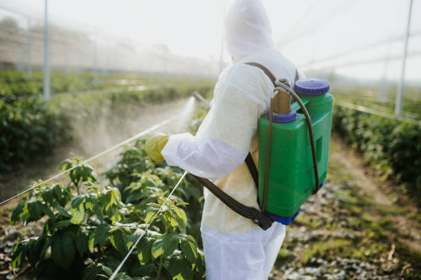 Best Pest Removal Services  in Abilene, TX